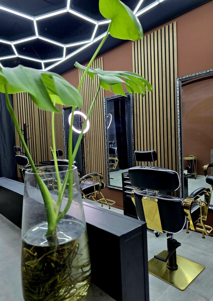 Nanakay interior mit Pflanze vor der Kamera